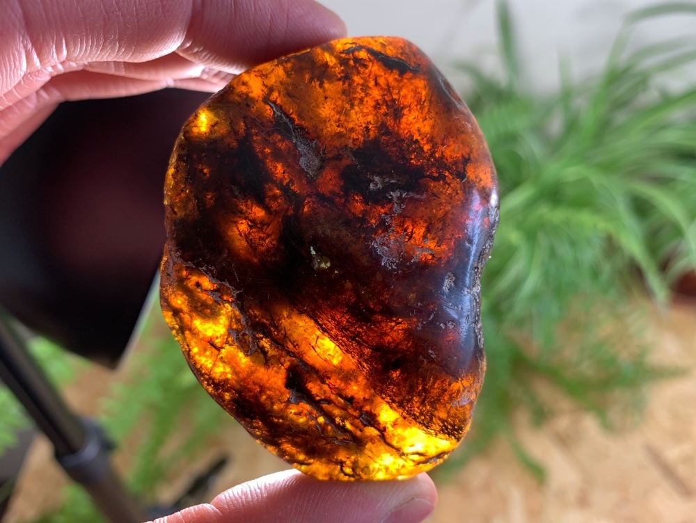 Sulawesi Amber (47g) #01