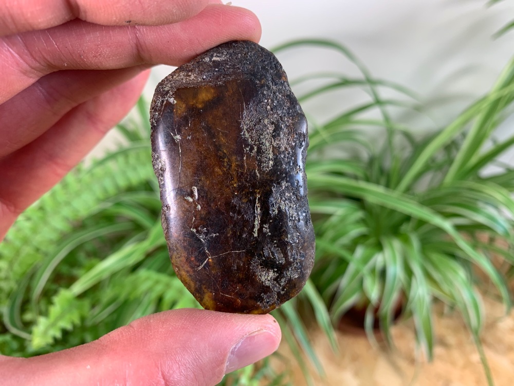 Sulawesi Amber (19g) #04