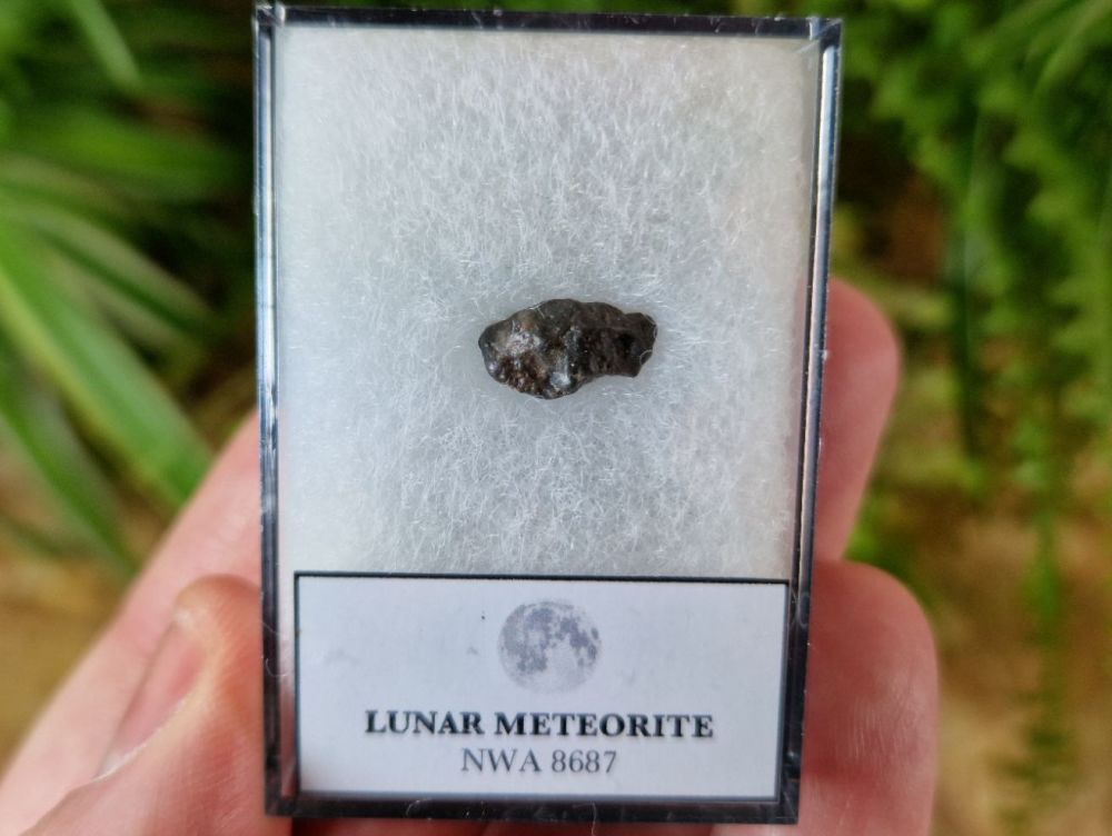 Lunar Meteorite (NWA 8687), 0.60 grams #1
