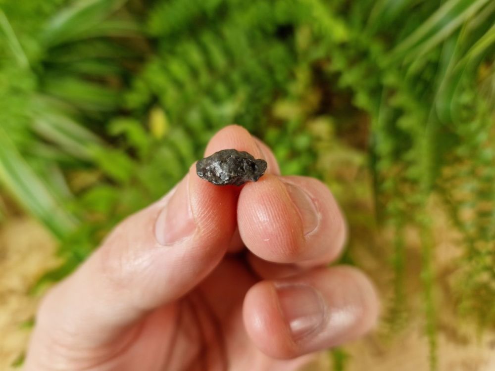 Lunar Meteorite (NWA 8687), 0.60 grams #1