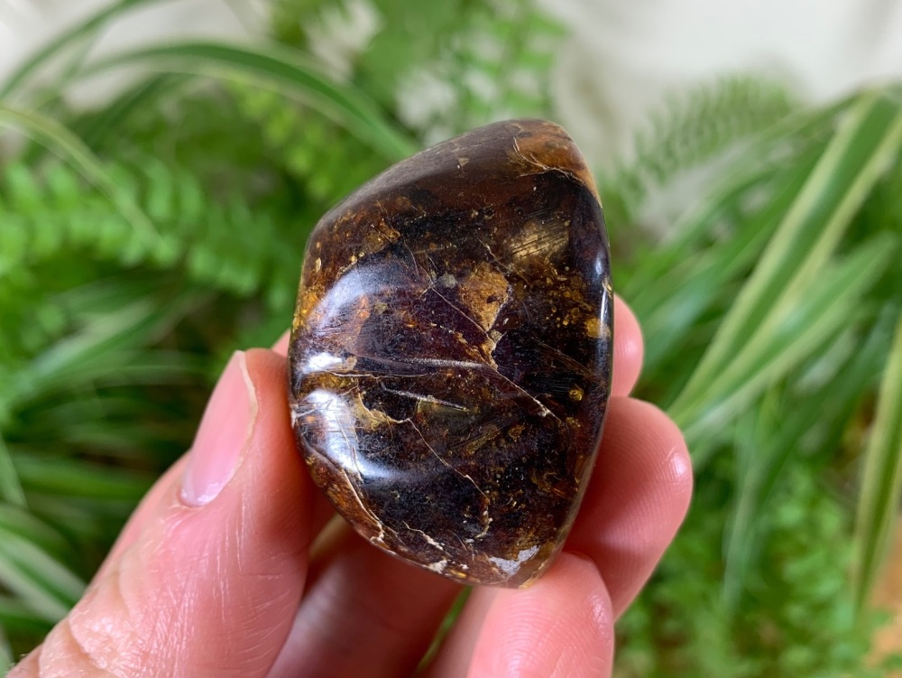 Sulawesi Amber (20g) #06