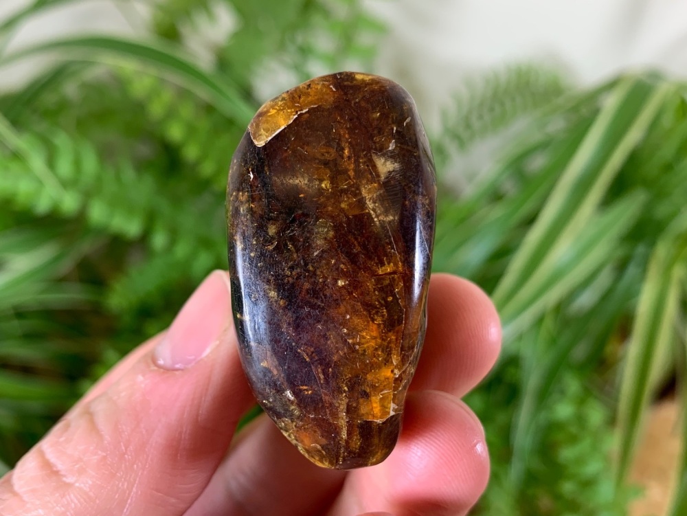 Sulawesi Amber (20g) #06