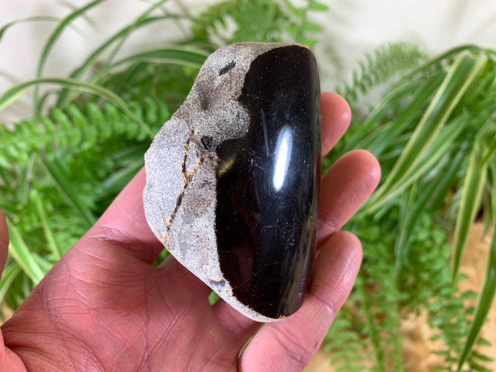 HUGE Borneo Amber (77g) #04