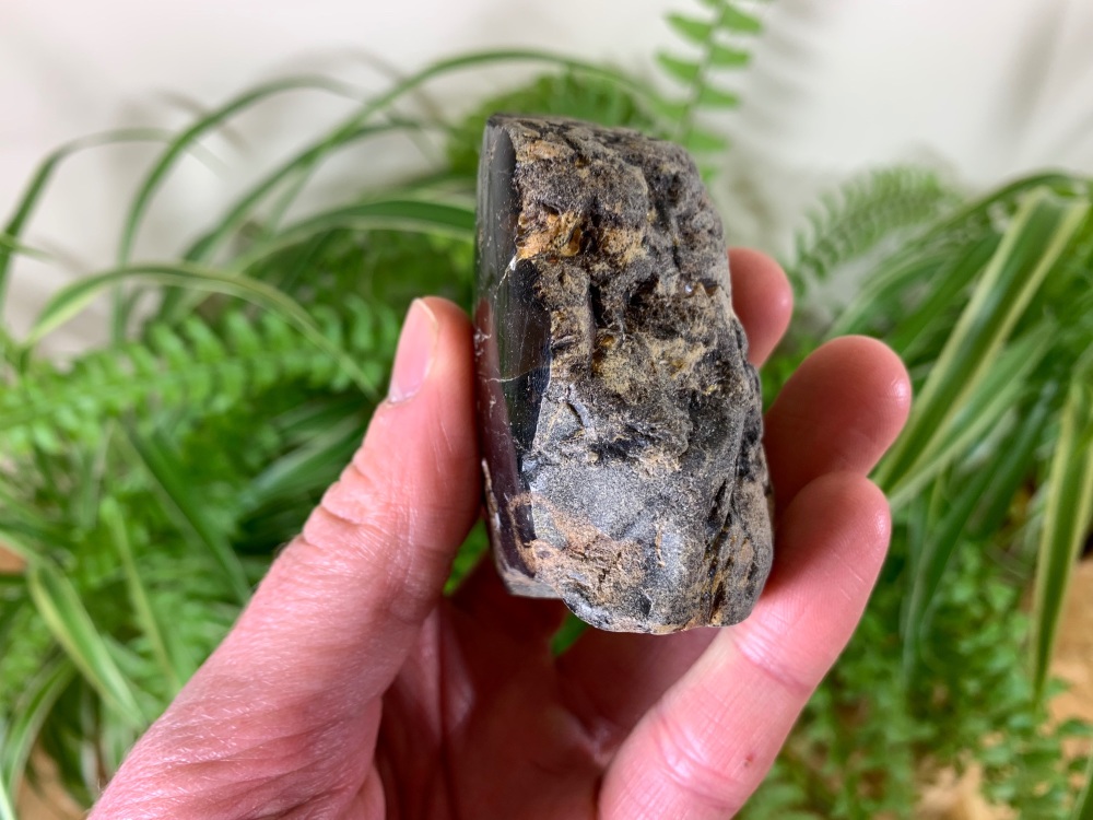 HUGE Borneo Amber (90g) #05