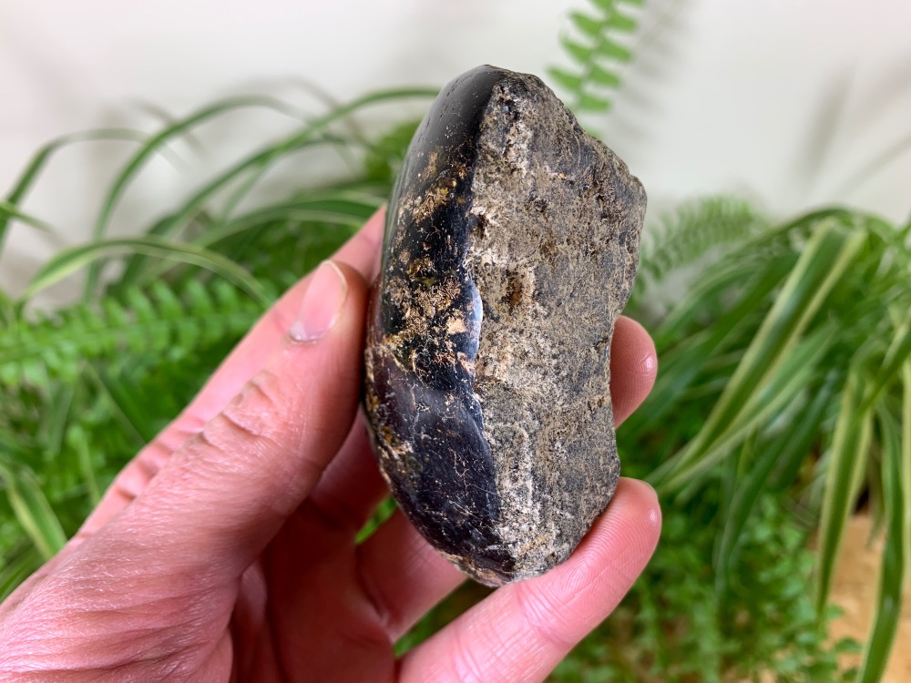 HUGE Borneo Amber (70g) #06