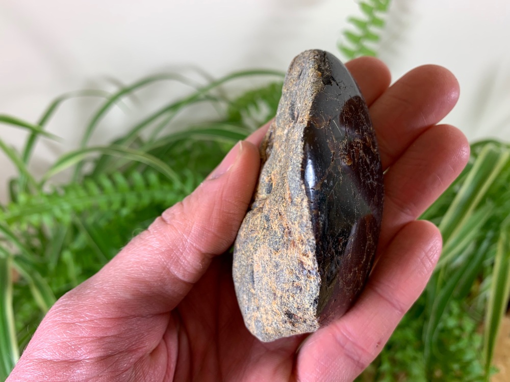 HUGE Borneo Amber (58g) #07