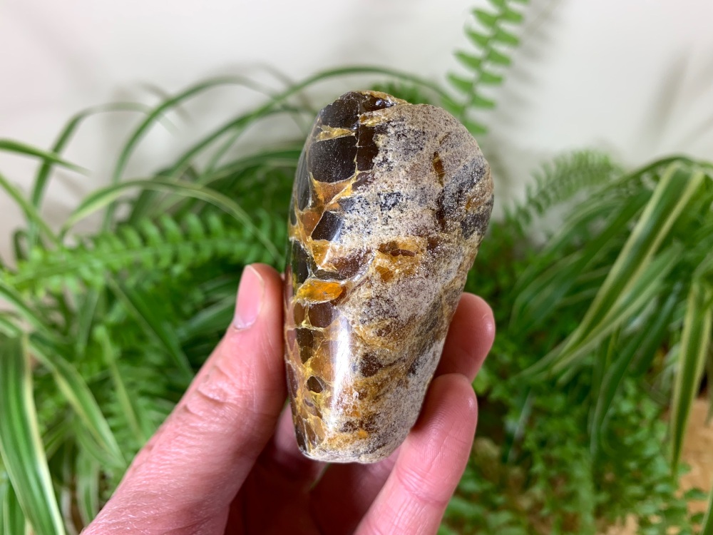 HUGE Borneo Amber (100g) #08