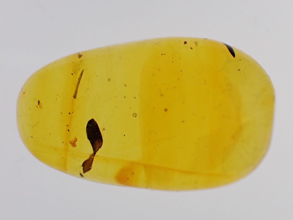 Dominican Amber Inclusion #04 (Leaf Inclusion)
