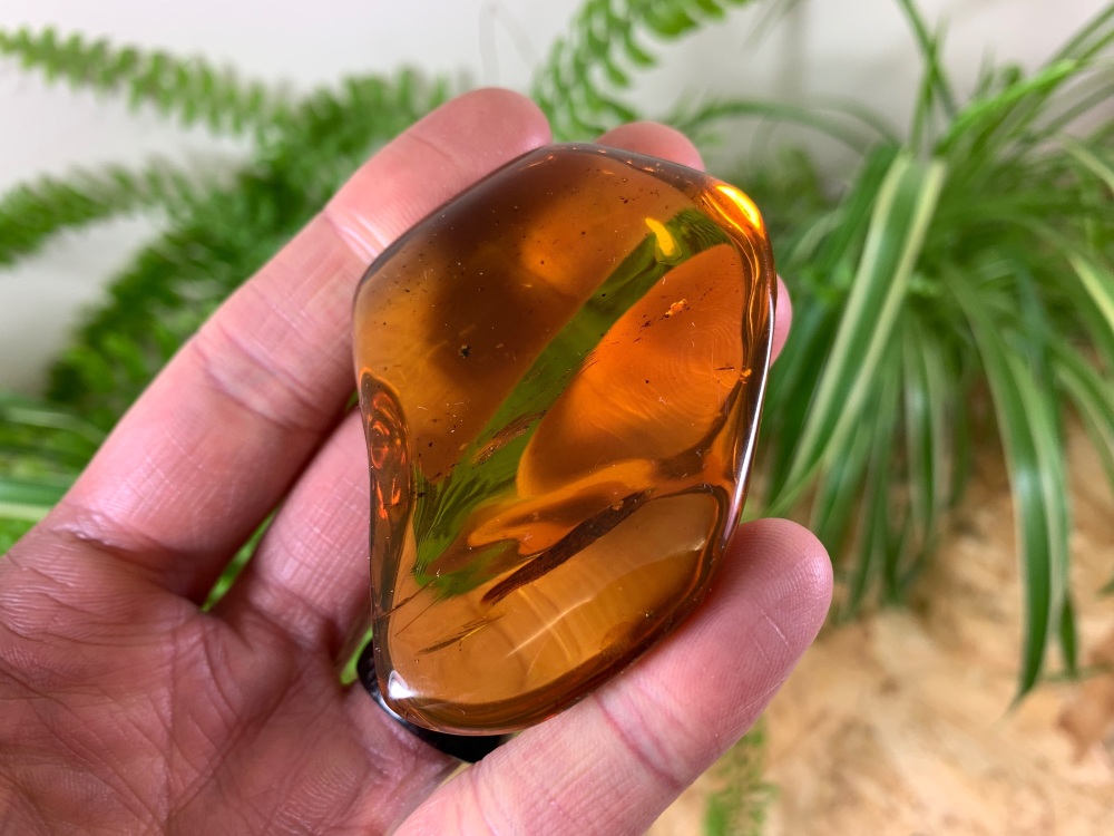 Large Dominican Amber with Inclusions (31.5g)