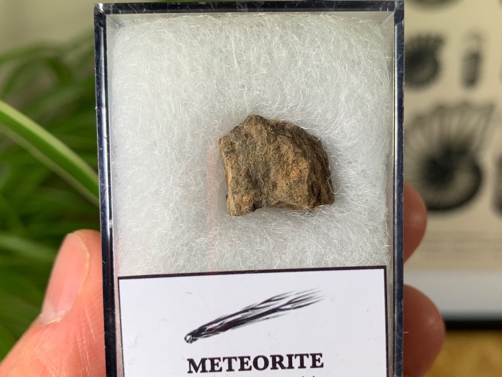 Meteorite - Common Chondrite (North West Africa) #03