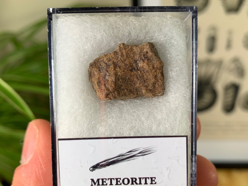 Meteorite - Common Chondrite (North West Africa) #04