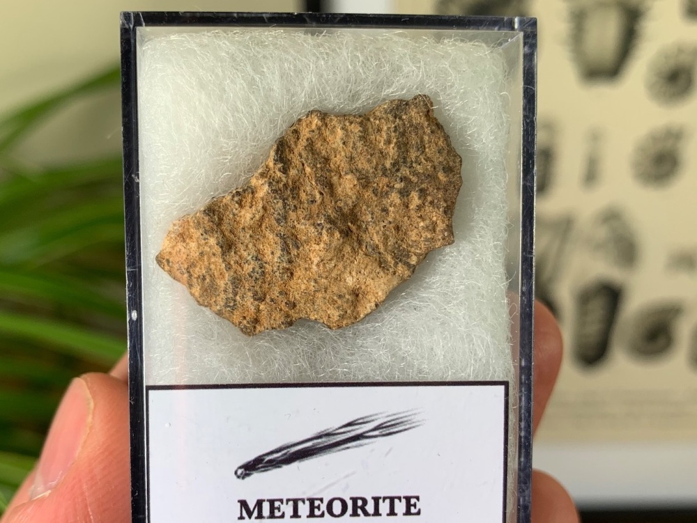 Meteorite - Common Chondrite (North West Africa) #06