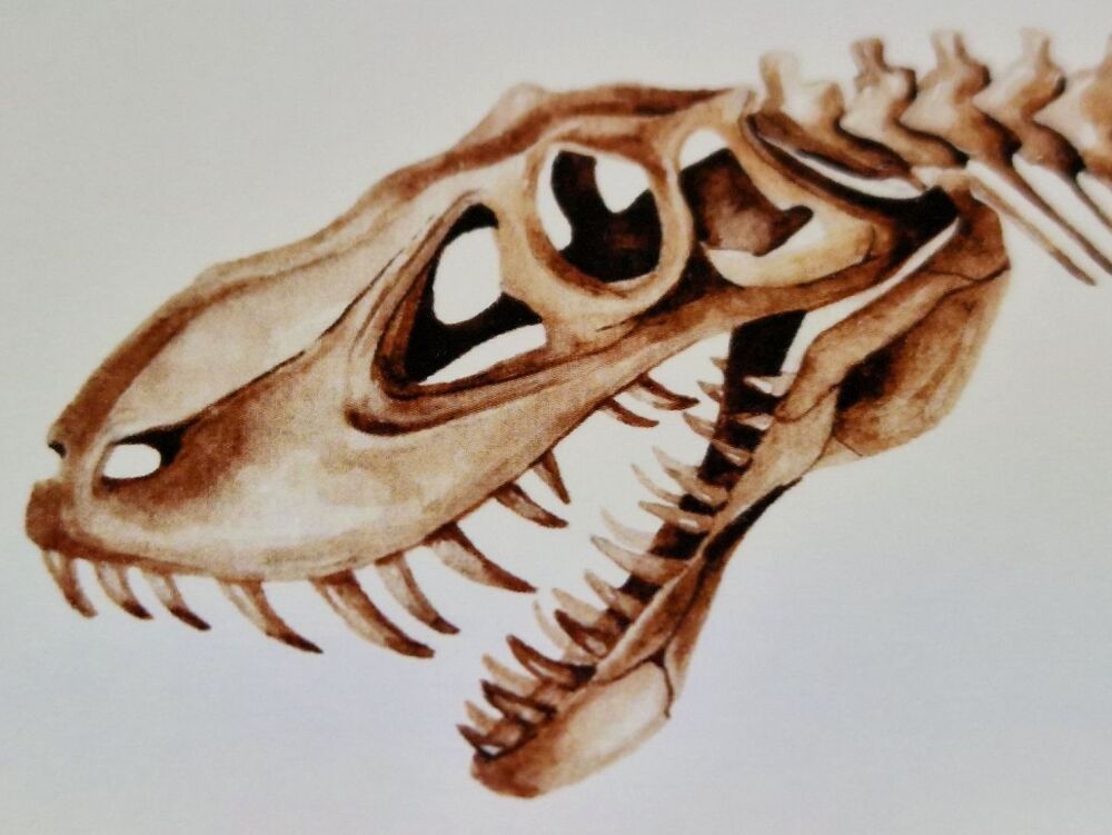 Allosaurus
