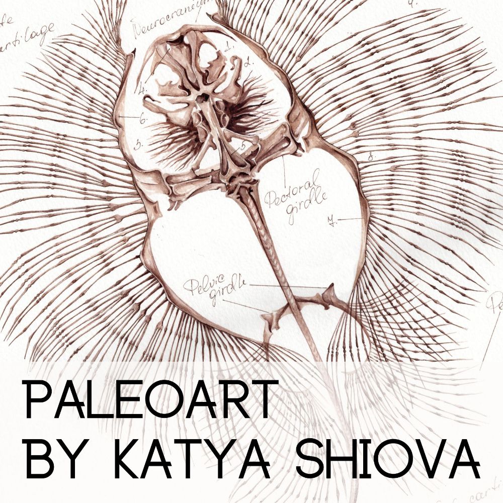 Paleo Art by Katya Shiova