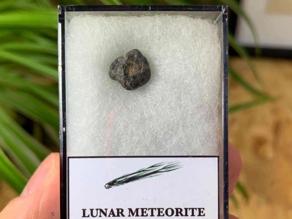 Lunar Meteorite (NWA 8687), 0.76 grams #01