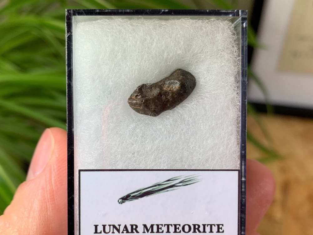 Lunar Meteorite (NWA 8687), 0.71 grams #4