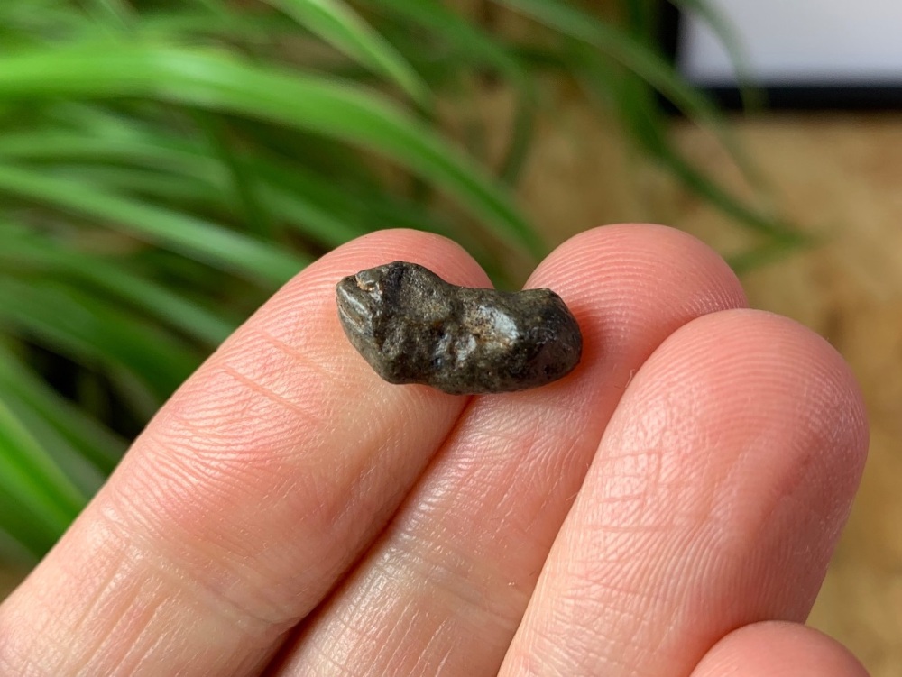 Lunar Meteorite (NWA 8687), 0.71 grams #4