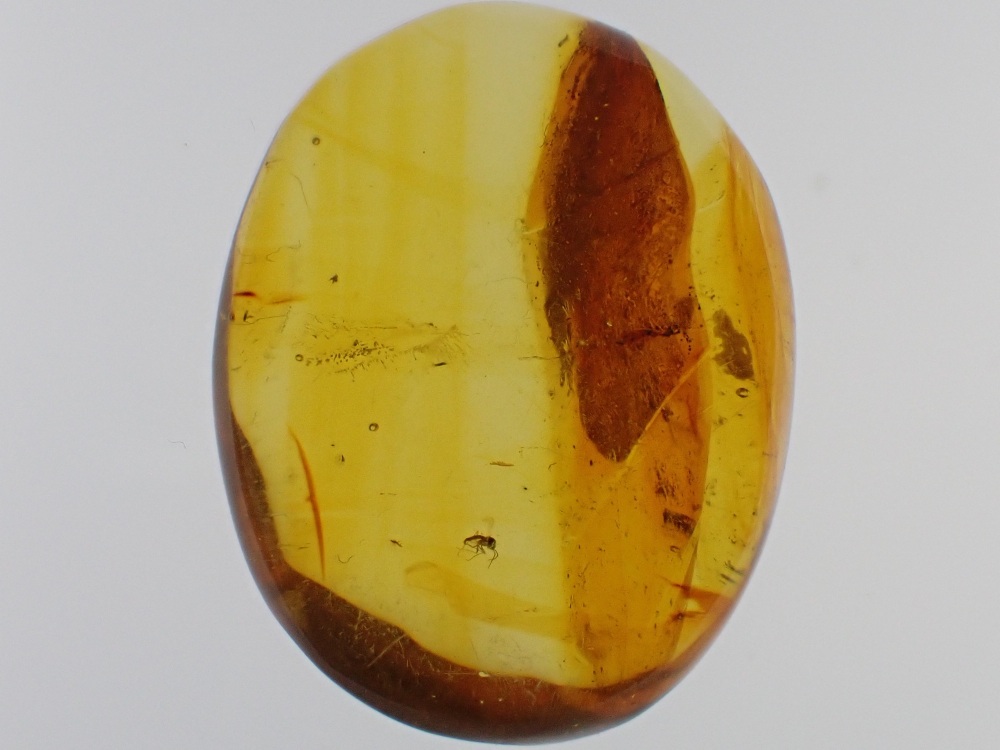 Dominican Amber Inclusion #20 (Winged Insect Inclusion)