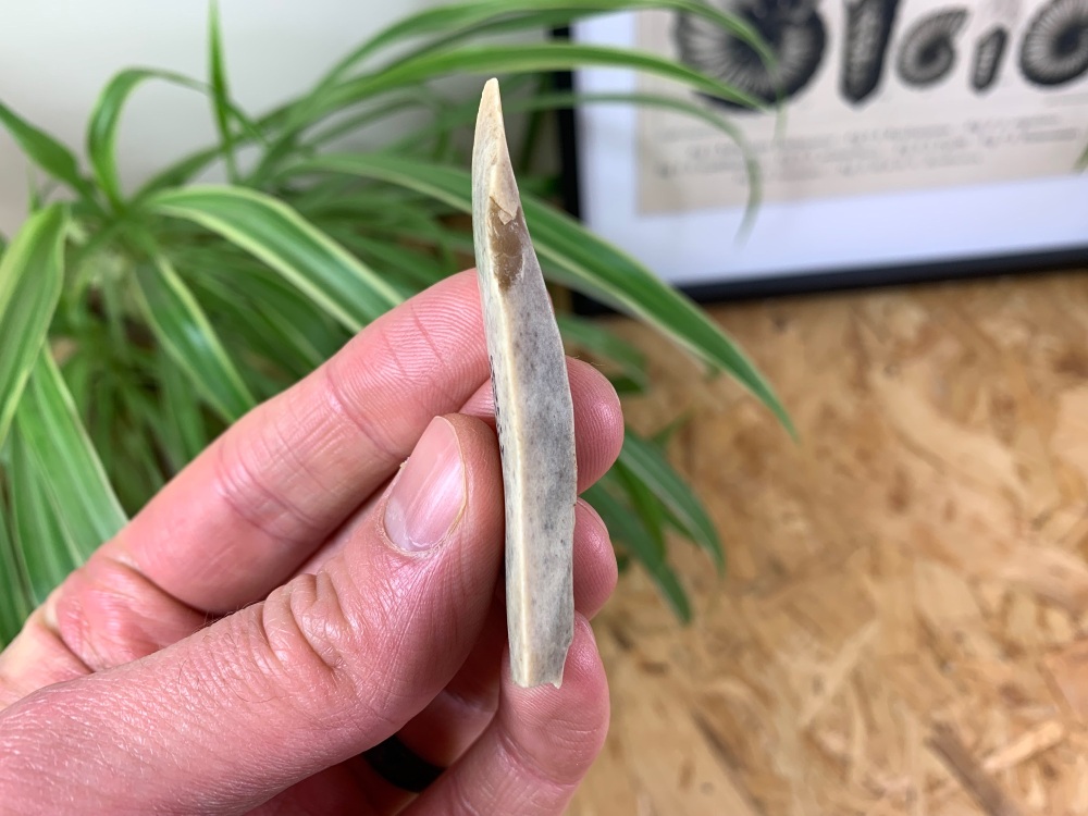 Upper Palaeolithic Scraper - Dordogne, France (40,000 - 10,000 Years Old) #01