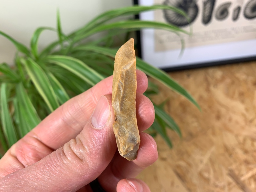 Upper Palaeolithic Scraper - Dordogne, France (40,000 - 10,000 Years Old) #03