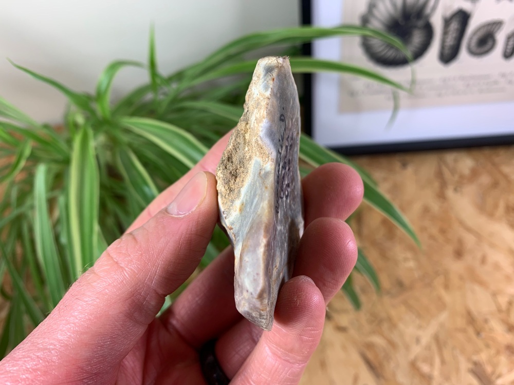 Upper Palaeolithic Scraper - Dordogne, France (40,000 - 10,000 Years Old) #08