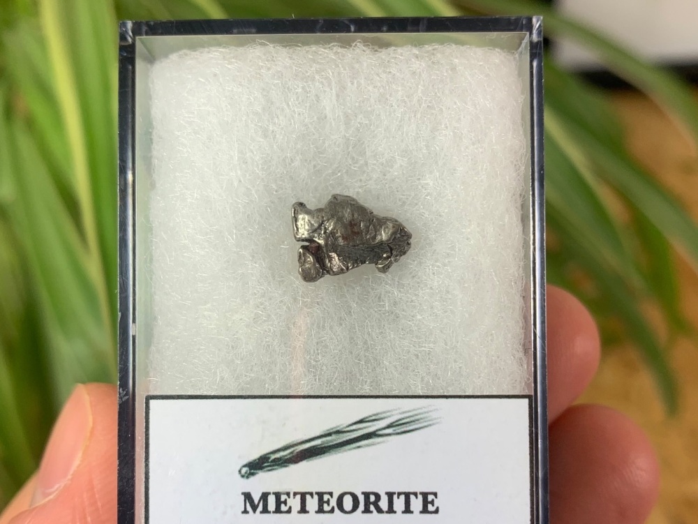 Campo del Cielo Meteorite #01