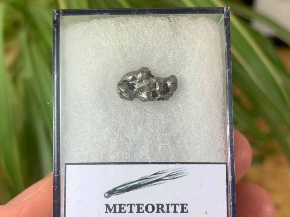 Campo del Cielo Meteorite #02