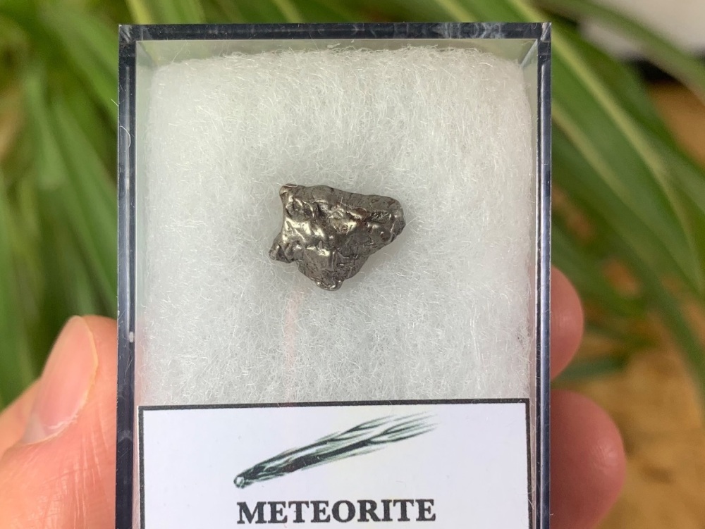 Campo del Cielo Meteorite #03