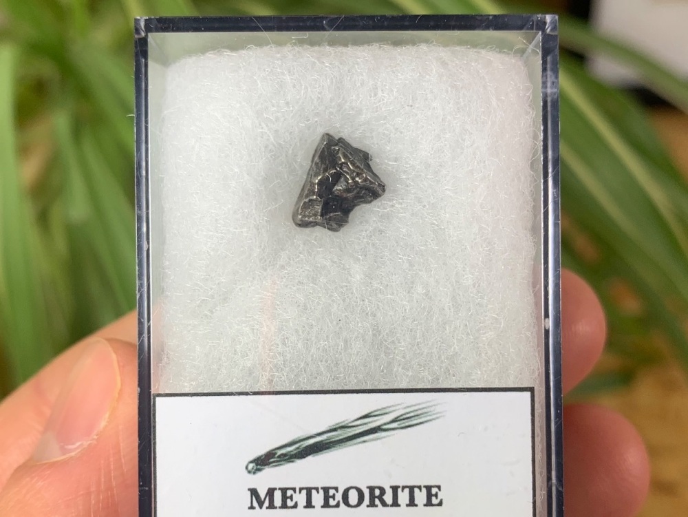Campo del Cielo Meteorite #04
