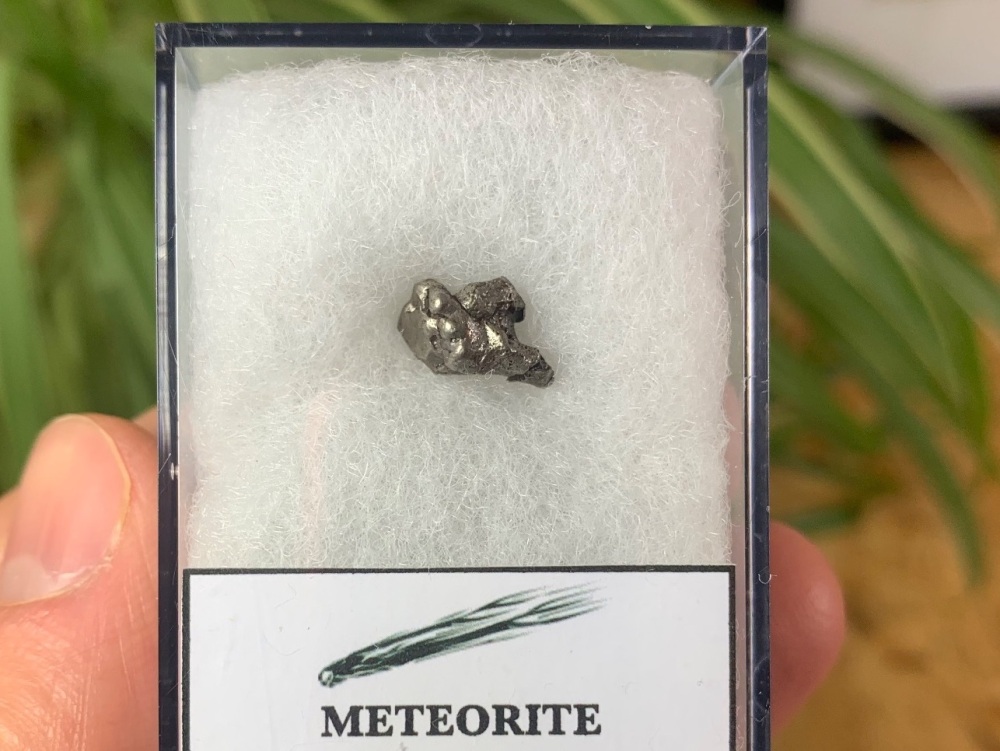 Campo del Cielo Meteorite #05