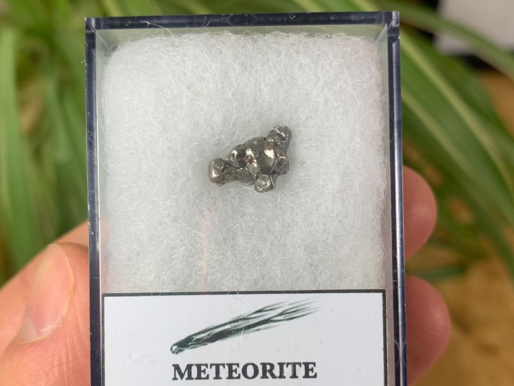 Campo del Cielo Meteorite #06
