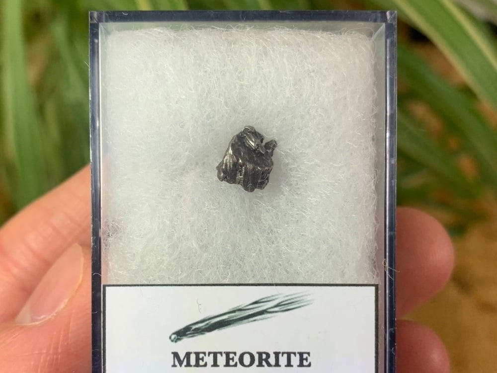 Campo del Cielo Meteorite #08