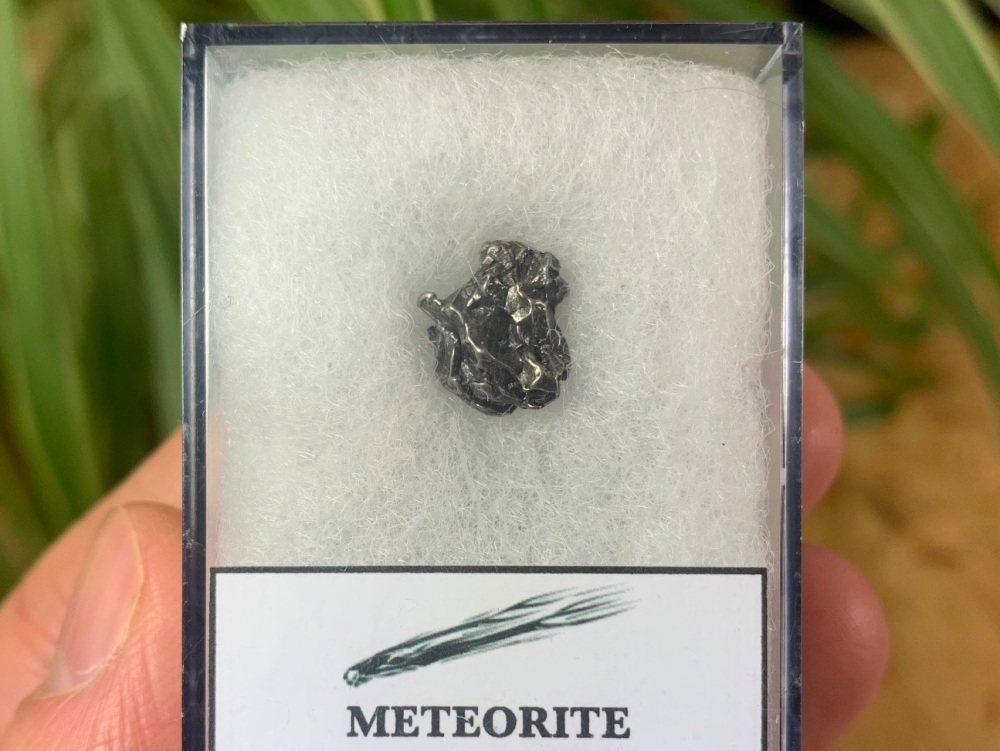 Campo del Cielo Meteorite #09