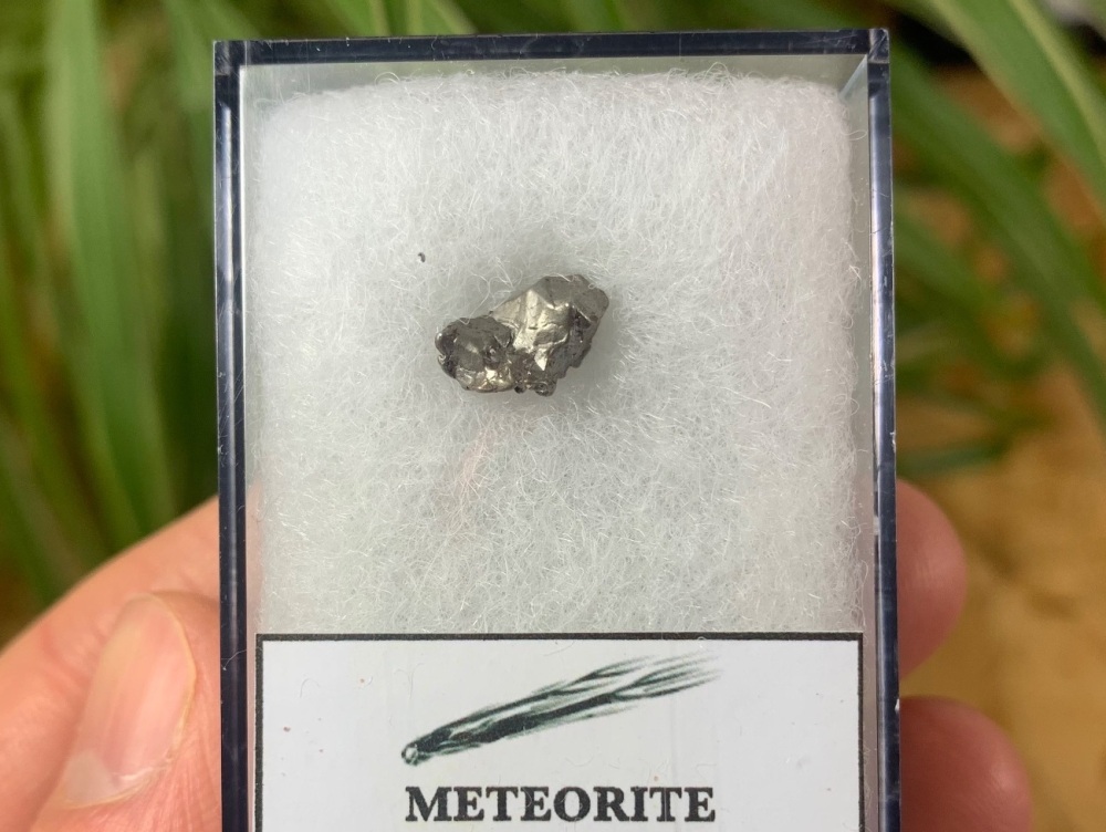 Campo del Cielo Meteorite #10