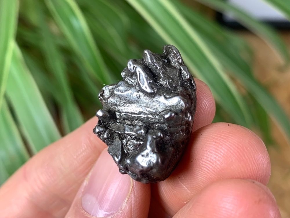Campo del Cielo Meteorite (23g) #01