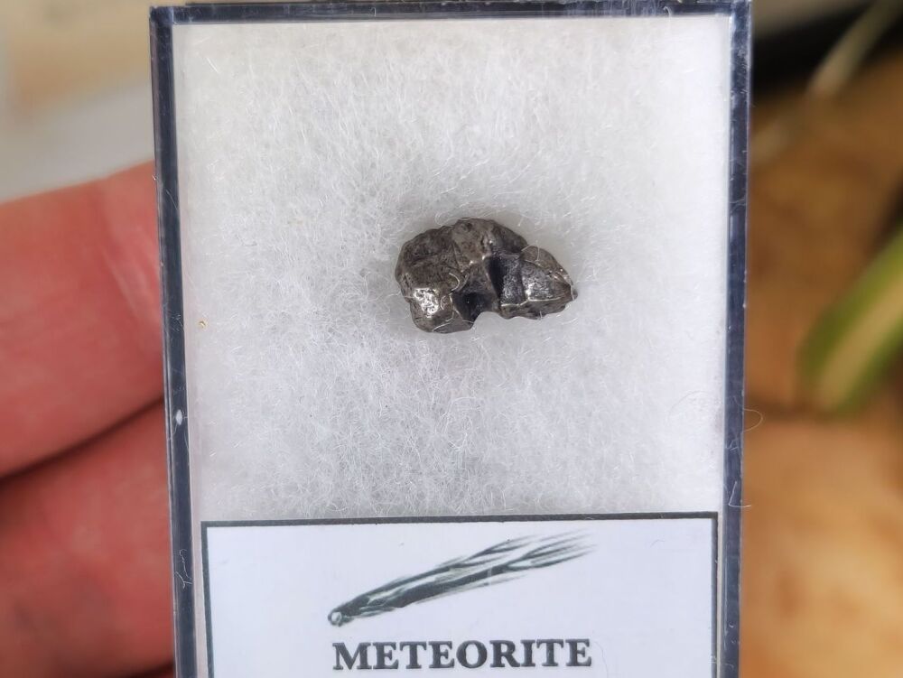 Campo del Cielo Meteorite #03