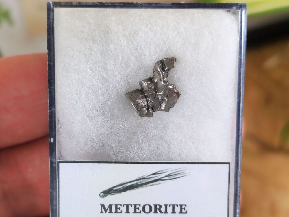 Campo del Cielo Meteorite #07