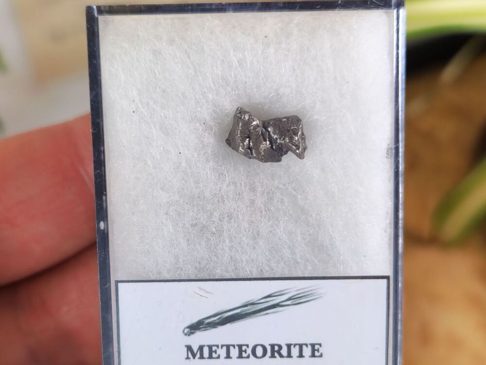 Campo del Cielo Meteorite #08
