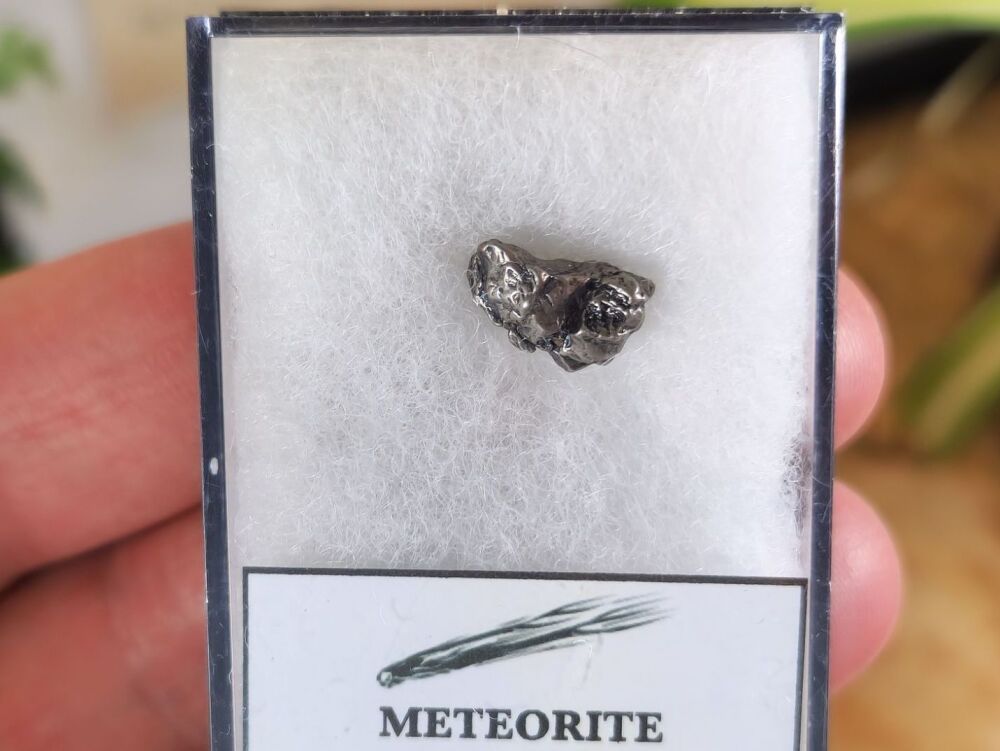 Campo del Cielo Meteorite #10