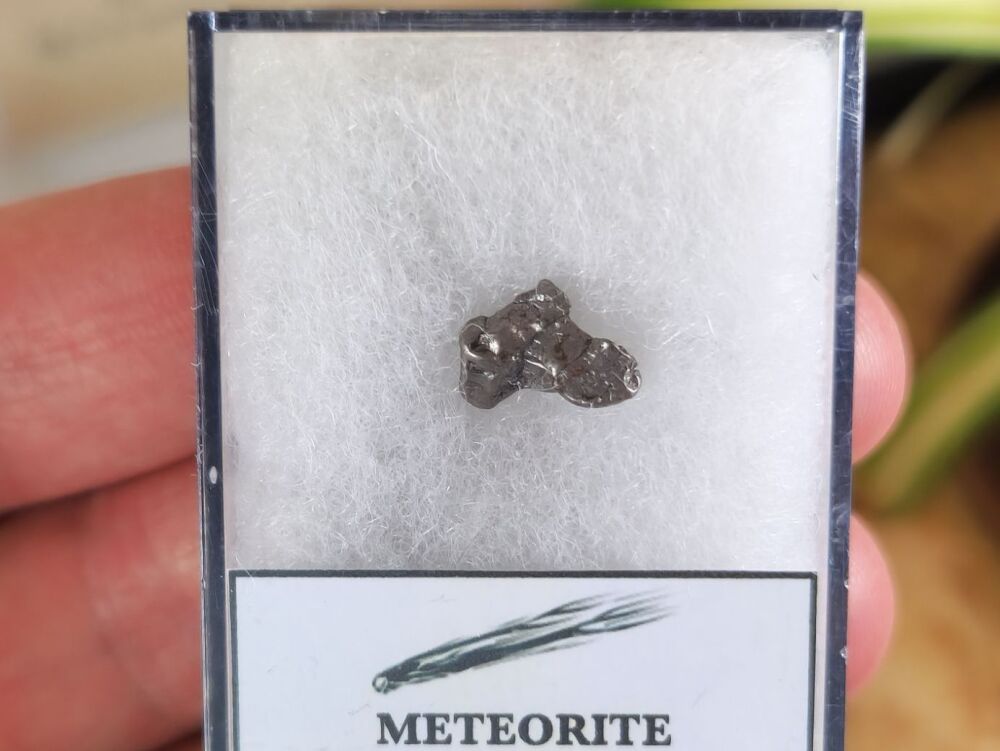 Campo del Cielo Meteorite #11