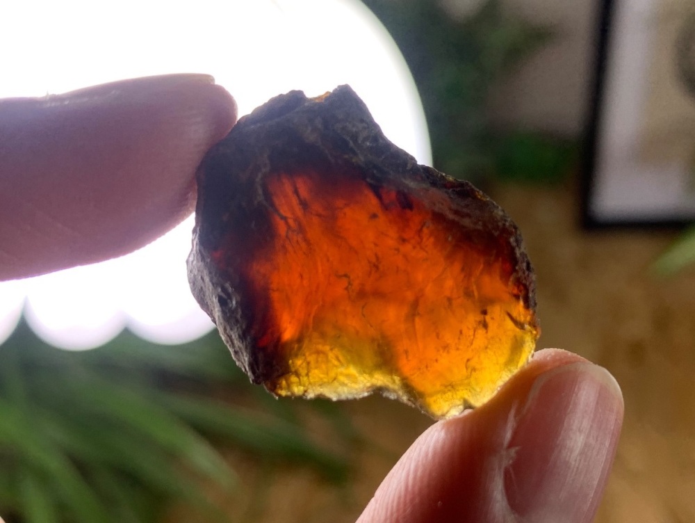 Sumatran Amber #02