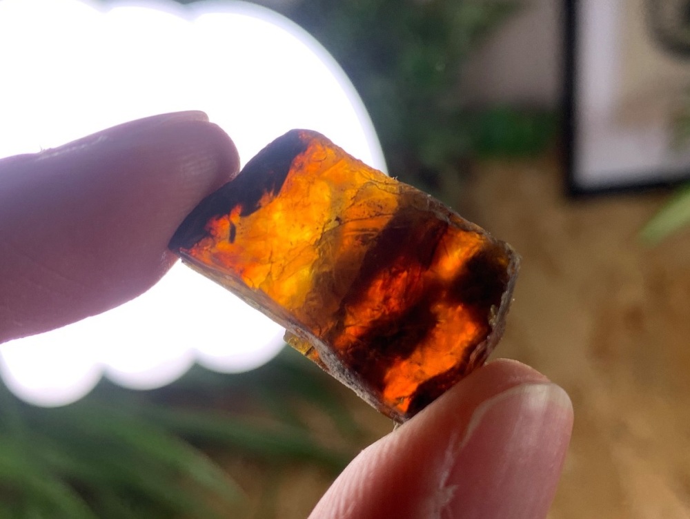 Sumatran Amber #03