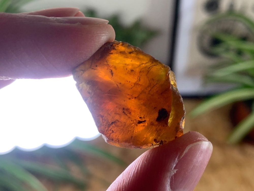 Sumatran Amber #04