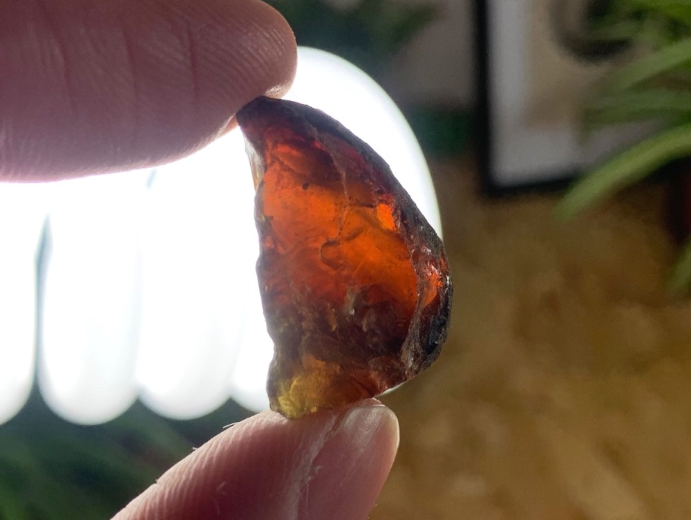 Sumatran Amber #06
