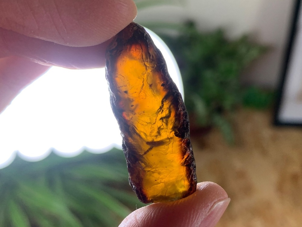 Sumatran Amber #07