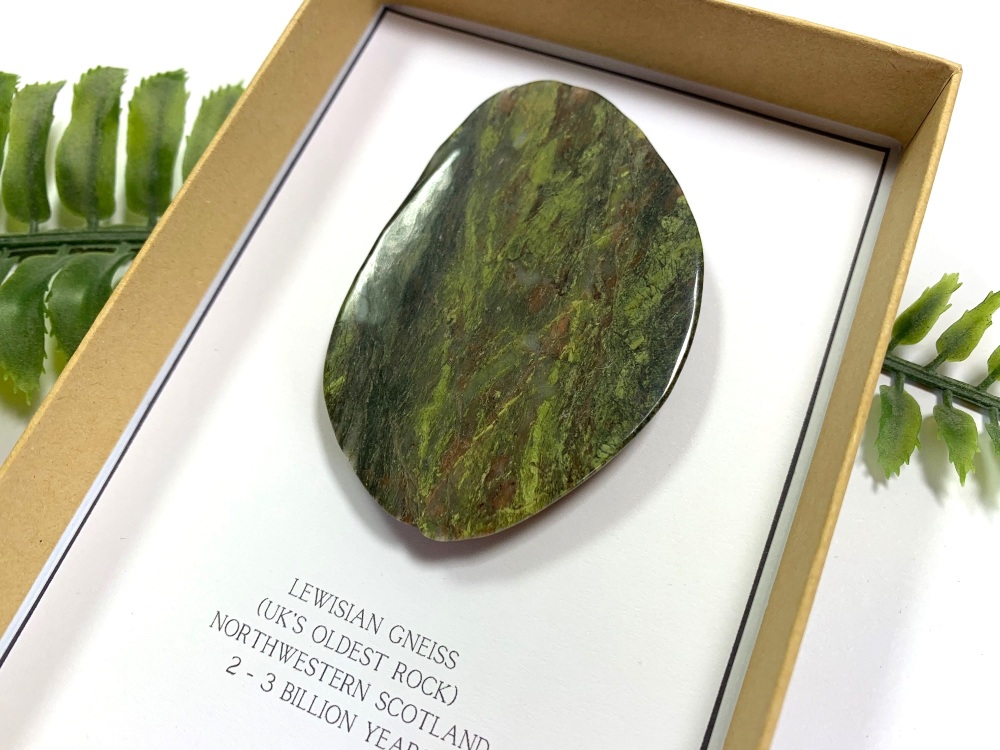 Britain's Oldest Rock, Lewisian Gneiss (Gift Boxed)