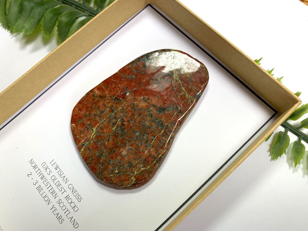 Britain's Oldest Rock, Lewisian Gneiss (Gift Boxed)