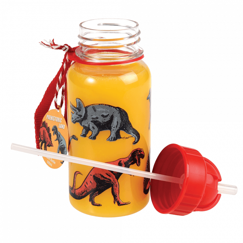 Children's water bottle - Prehistoric Land