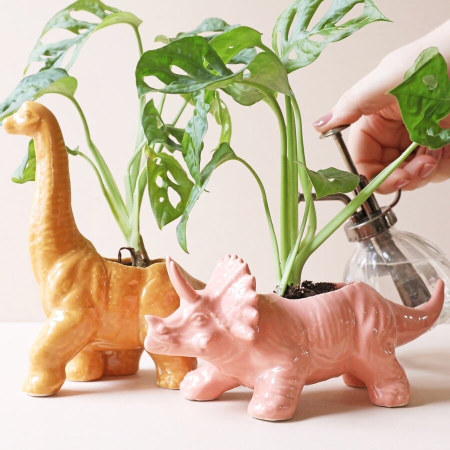 Triceratops Dinosaur Planter (Pink)