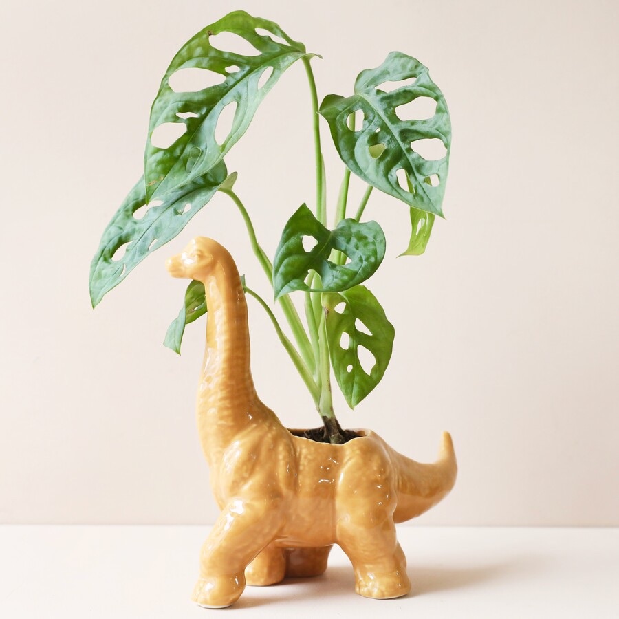 <!-- 001 --> Homeware